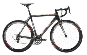 �������� ��������� Bergamont Dolce MGN